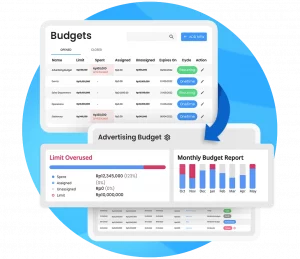 Peakflo's analytics to track spending and budget easily
